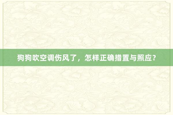 狗狗吹空调伤风了，怎样正确措置与照应？